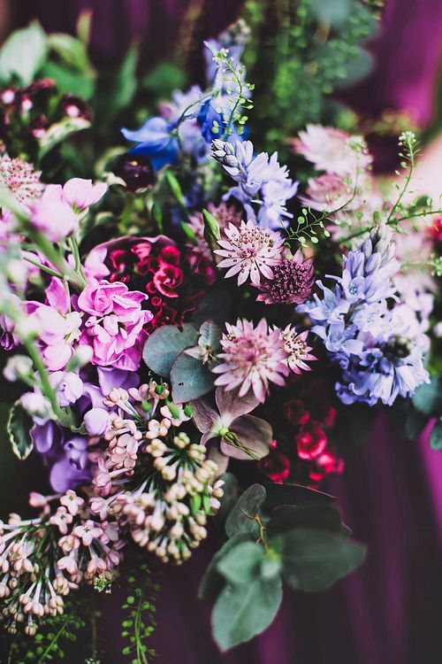 beautiful flowers on Tumblr