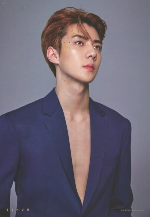 fy-sehunoh:[SCAN] 181207 EXO 2019 SEASONG GREETING POSTER -...