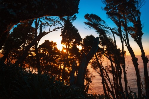 conserva-tus-colores:siluetas de gigantes al atardecer...