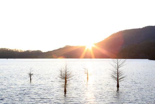 Sunset in Tennessee - John Cobalt