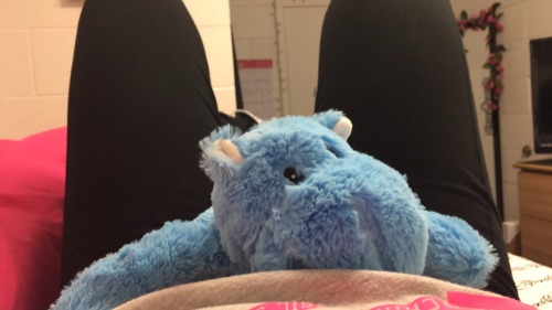 stuffed animal for period cramps