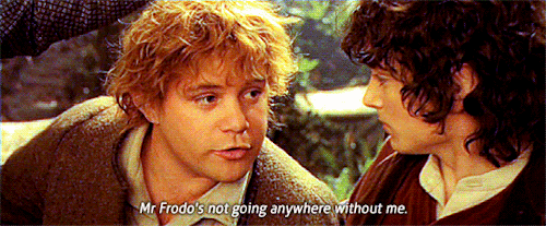 Image result for sam lord of the rings