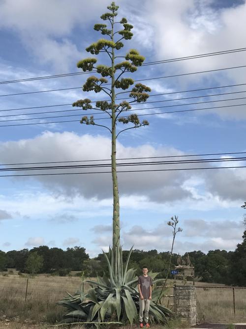 gardeninghub