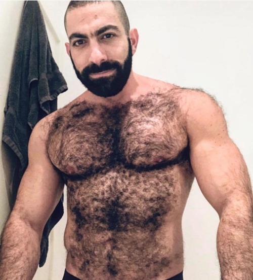 Musclebears & Co.