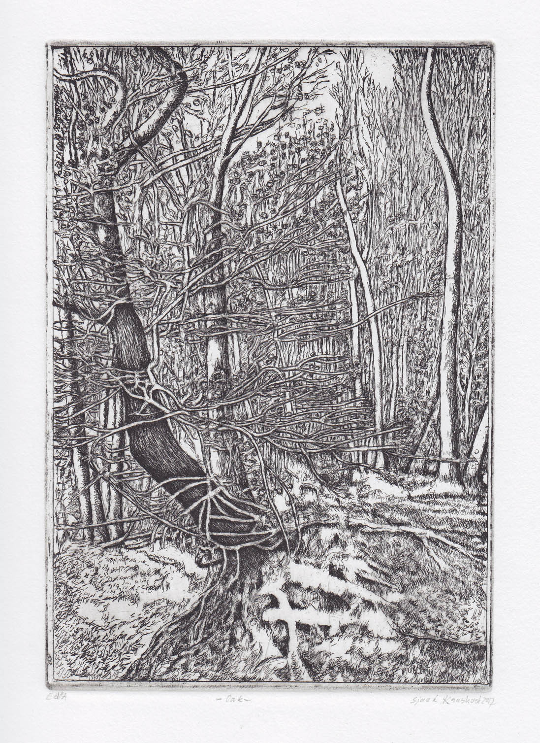 Sjaak Kaashoek http://sjaakkaashoek.tumblr.com/archive Oak copper etching 15.8 cm x 22.9 cm 6.2″ x 9.0″ — Immediately post your art to a topic and get feedback. Join our new community, EatSleepDraw Studio, today!