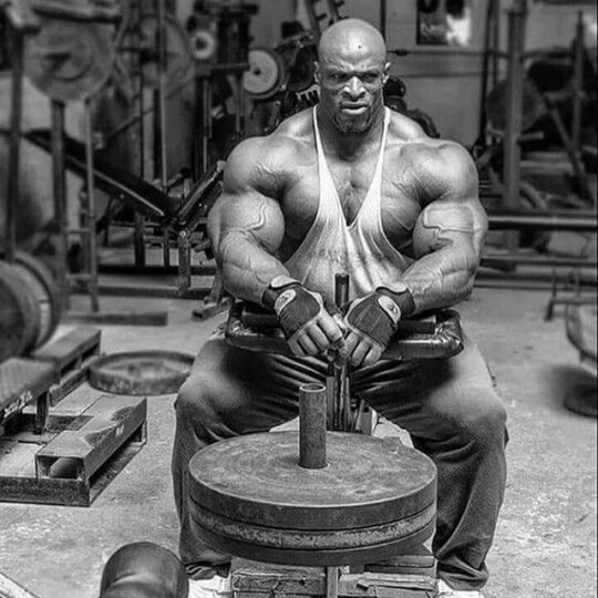 ronnie coleman on Tumblr