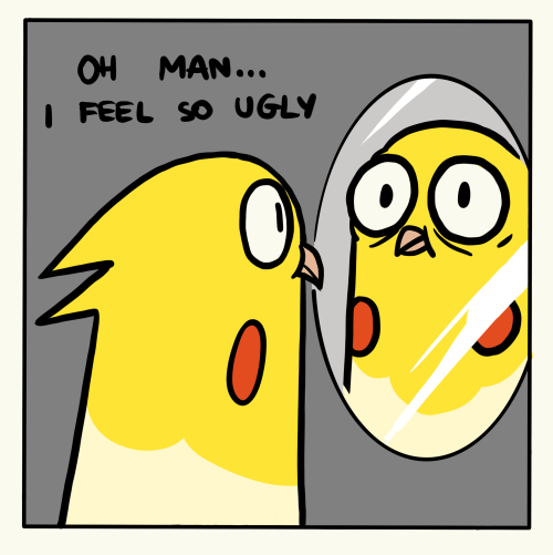 birdbirdtales