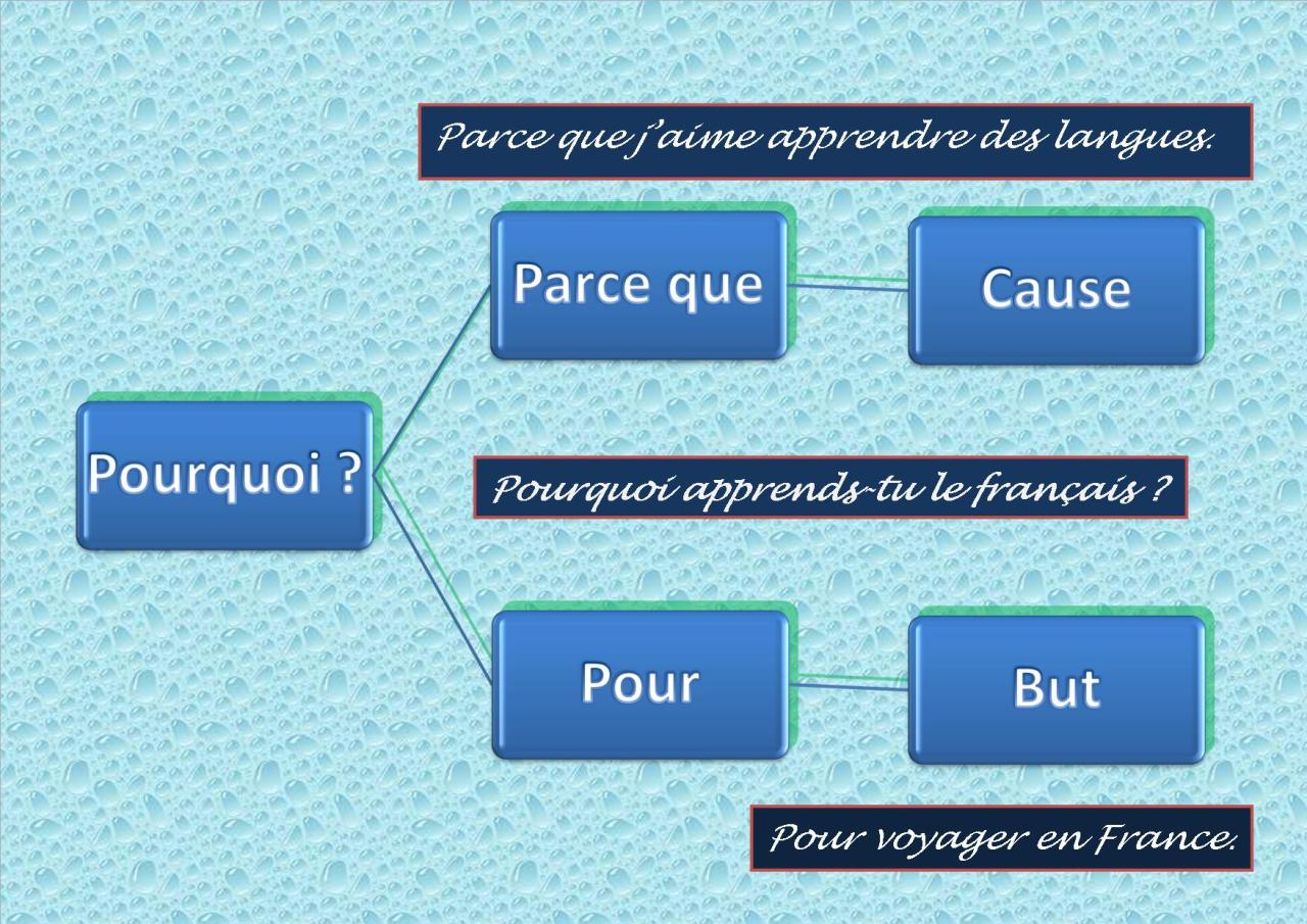 FrenchBook - Pourquoi ? : Parce que ou Pour