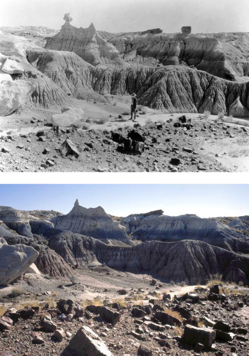 petrifiedforestnp:Erosion creates such fantastic shapes,...