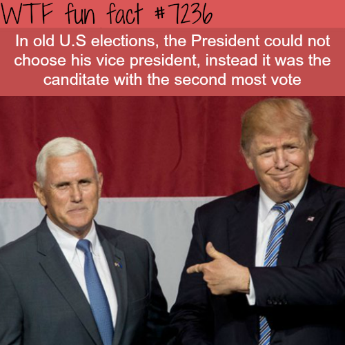 U.S. Elections Facts - WTF Fun Fact