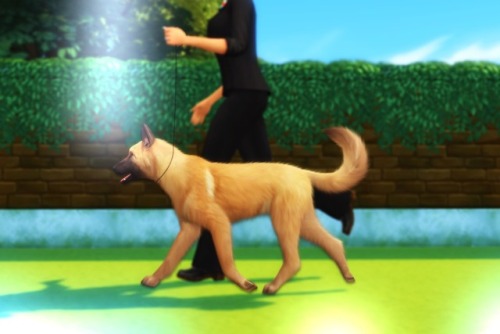 willowsims18