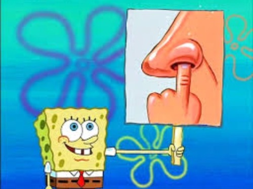 Spongebob Signs Tumblr