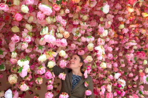 Always bring flowers, Rebecca Louise Law