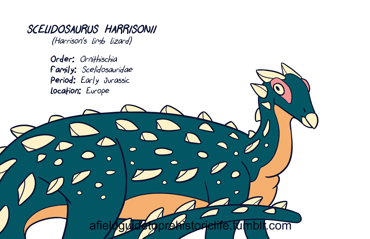 a field guide to mesozoic birds and other winged dinosaurs