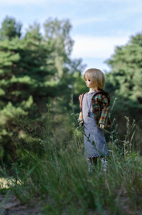 volks msd