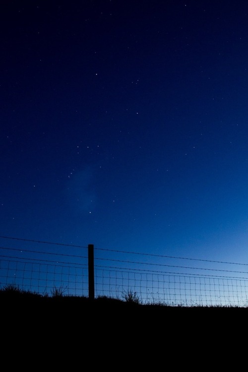 Orion’s Fence - April 2013 - Fern Ridge Reservoir, Lane...