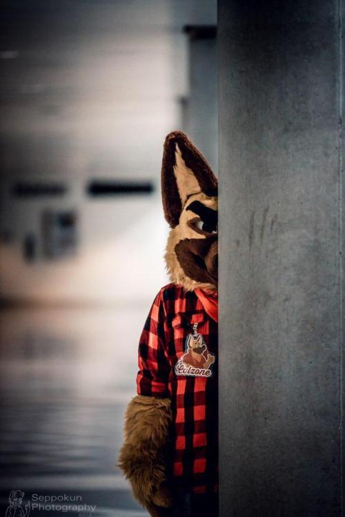 Happy #FursuitFriday everyone! Remember to stay in school,...