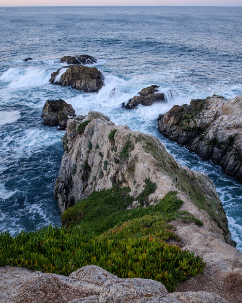 michaellund:Bodega Bay, CaliforniaInstagram // Website