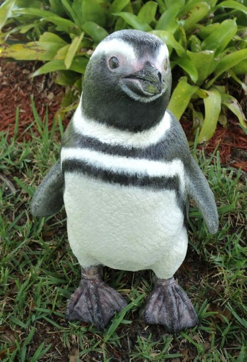 birdblogwhichisforbirds:penguins are GOOD