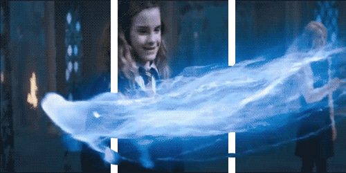 tumblr_n2nn2dUj5B1s30xwwo1_500.gif