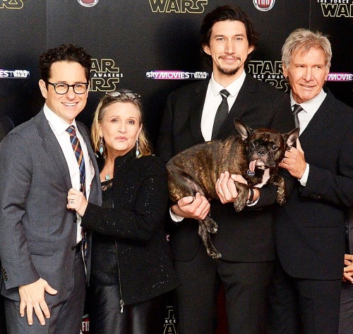 reyloandstormpilot:How tall is Adam Driver?However..........then we have Gwendoline...