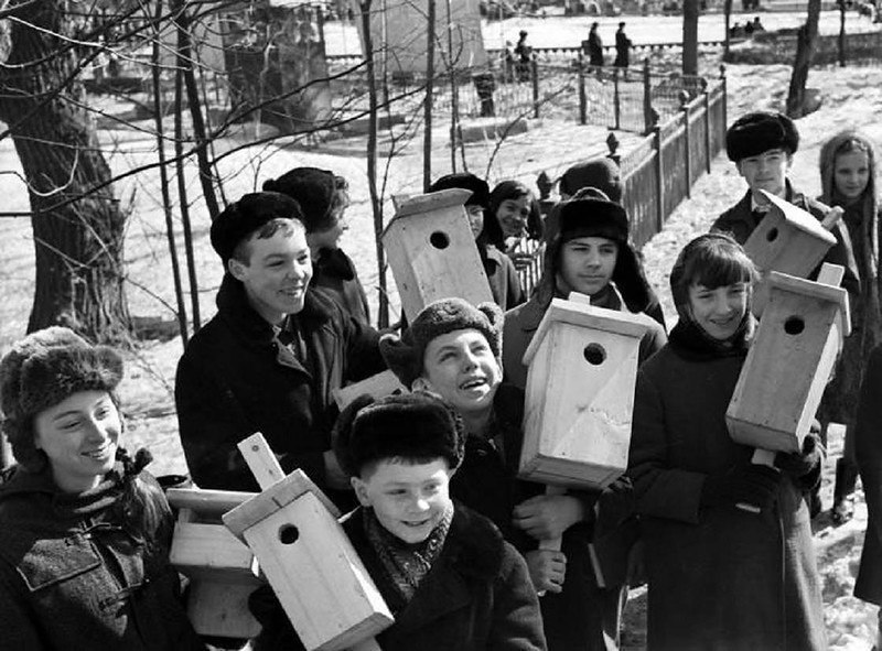 School children prepared new birdhouses for springtime.
Did you know that in Russian, birdhouse is literally a “starling-place”? But of course, any birds are welcome. :)