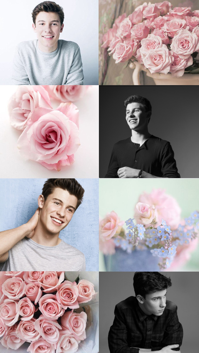 Shawn Mendes Light Pink Roses