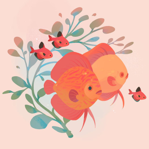 Some fish warm ups from TwitterFeel free to follow me there for...