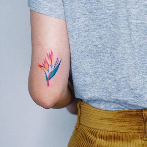 By Zihee, done in Seoul. http://ttoo.co/p/163275 flower;small;tricep;contemporary;tiny;ifttt;little;zihee;nature;bird of paradise flower;illustrative