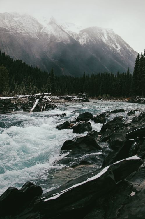 moody-nature:Fast-flowing mountain stream // By Ezra Jeffrey