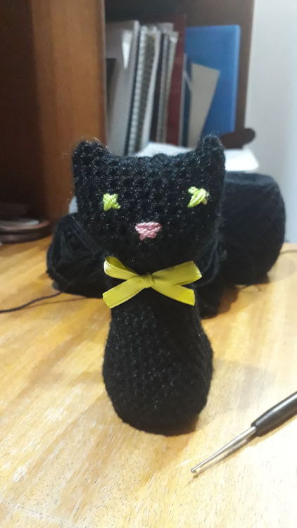 knitting crochet cat relaxing