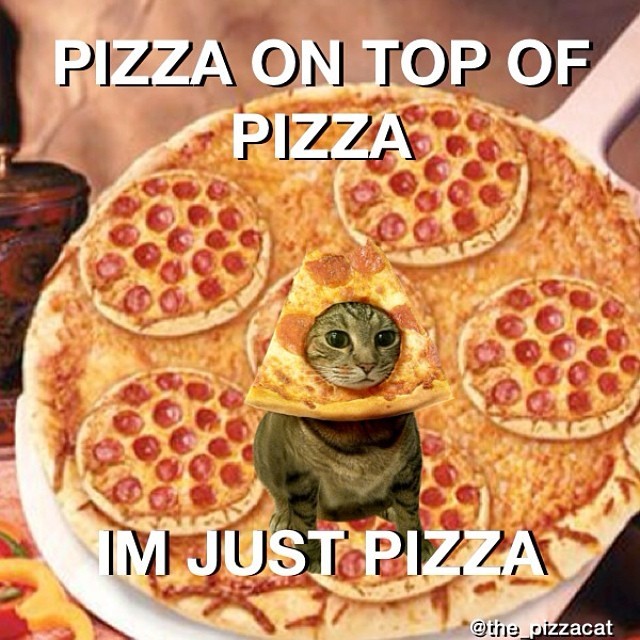 PIZZACAT PARTY — I’m just being pizza. There is only one original...