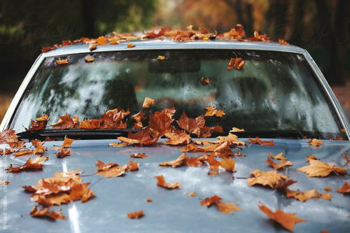 sixpenceeeaesthetic:Ready for cool, crisp air and falling...