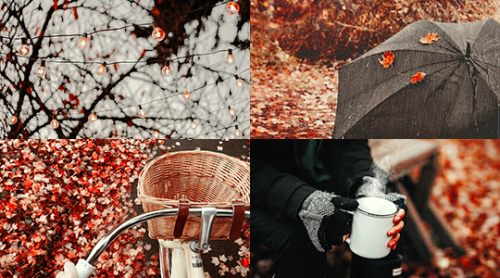 ibuzoo:1000 Picspams Challenge | #517Monthly Aesthetics -...