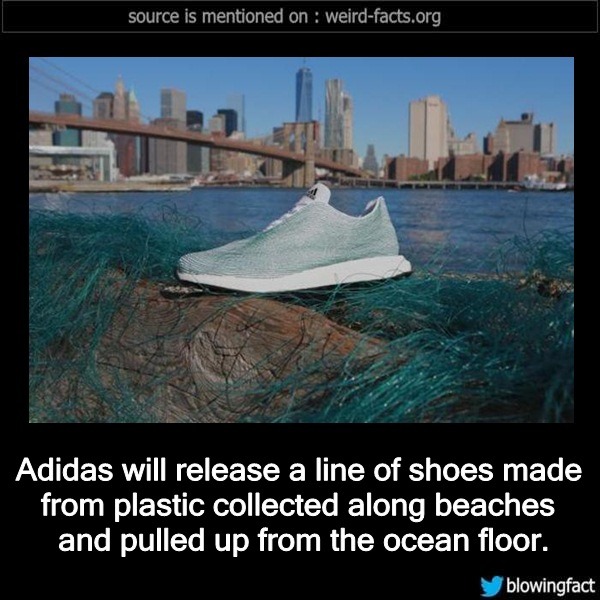 Weird Facts Adidas Will Release A Line Of Shoes Made From