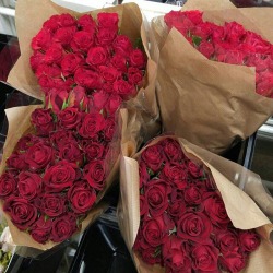 red roses tumblr