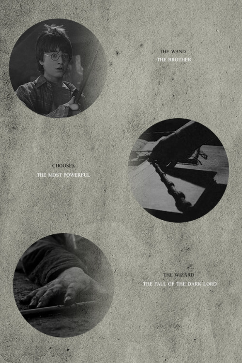 Harry Potter Blog On Tumblr