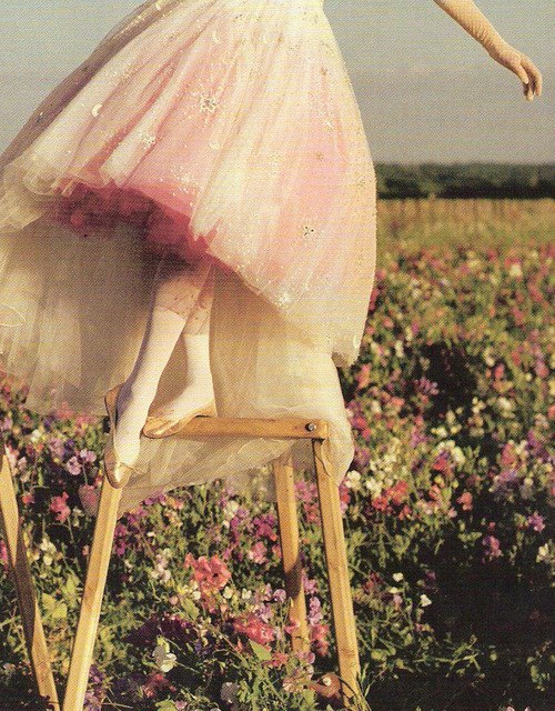 ballet shoes cute vintage tutu skirt flower field gloves high socks retro spring pink long tutu