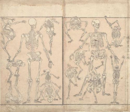 Dancing Skeletons by Katherine A. Dettwyler