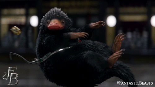 Although small and cute, the Niffler can be quite destructive in its pursuit of sparkly things.