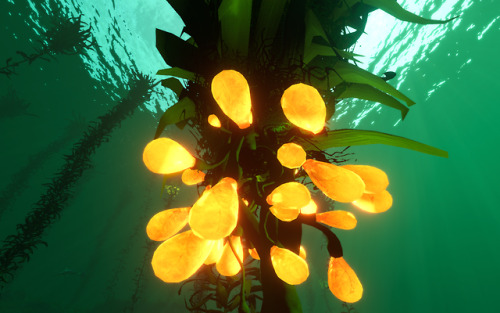 Subnautica creepvine seed cluster