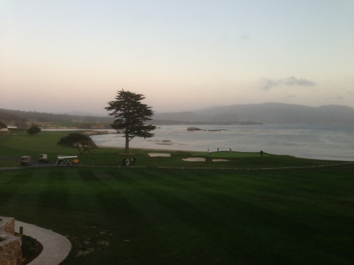 Pebble Beach Baby!