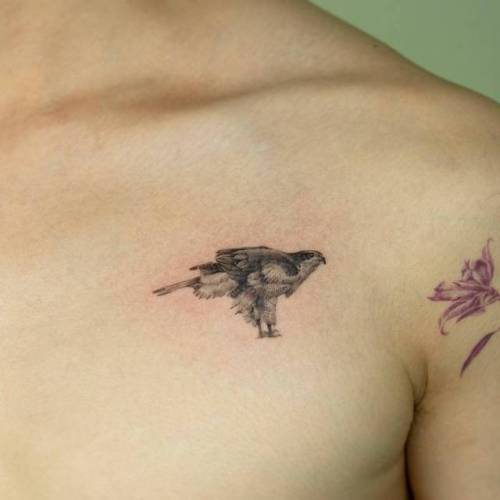 By Comotattoo, done in Seoul. http://ttoo.co/p/35536 small;single needle;animal;chest;tiny;bird;como;ifttt;little;falcon