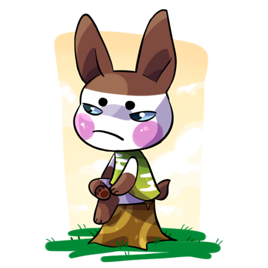 my animal crossing blog