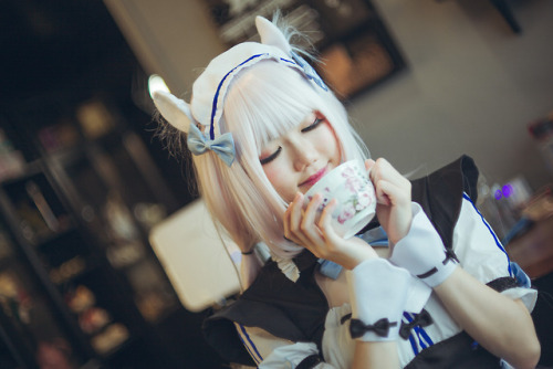 iamdorasnow:Nekopara Cosplay~Chocola cn : ReikoMiiaoVanilla...