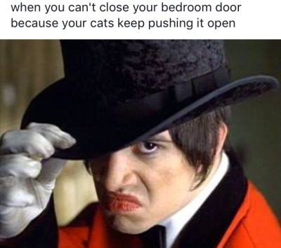 Closing The Goddamn Door Meme Tumblr