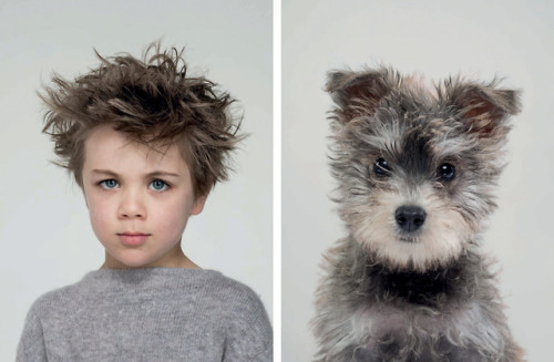 itscolossal:Uncanny Resemblances Between Classic Dog Breeds and...