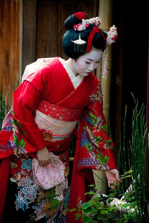 Maiko in KyotoPhoto by Jesús Vallejo on Fivehundredpx