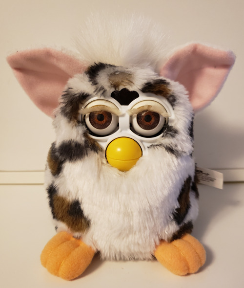 View topic - The Furby Fanclub! - Chicken Smoothie