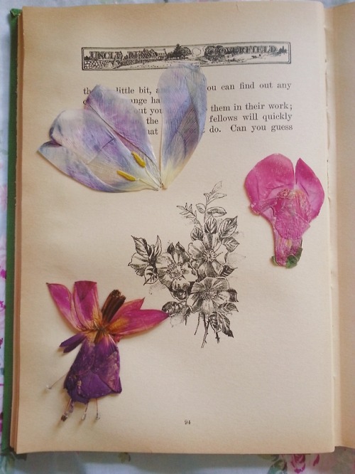 antique books pressed flowers Victorian grandmacore cottagecore mine books